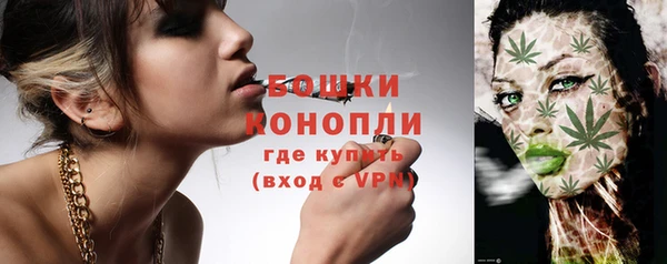 дмт Надым