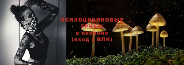 дмт Надым