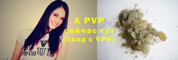дмт Надым