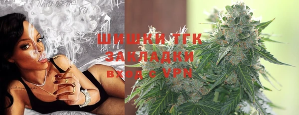 дмт Надым