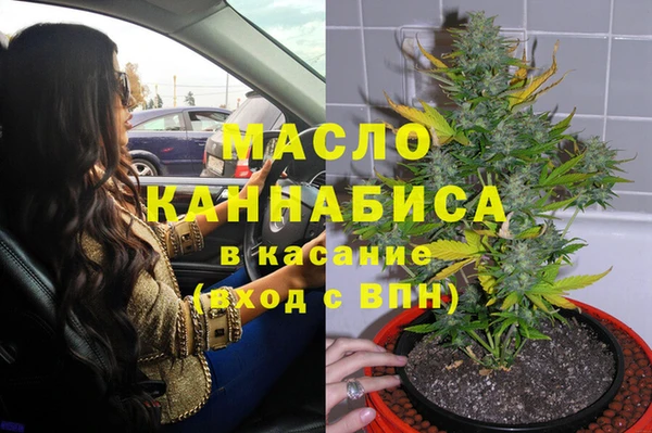 дмт Надым