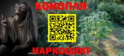 индика Донской