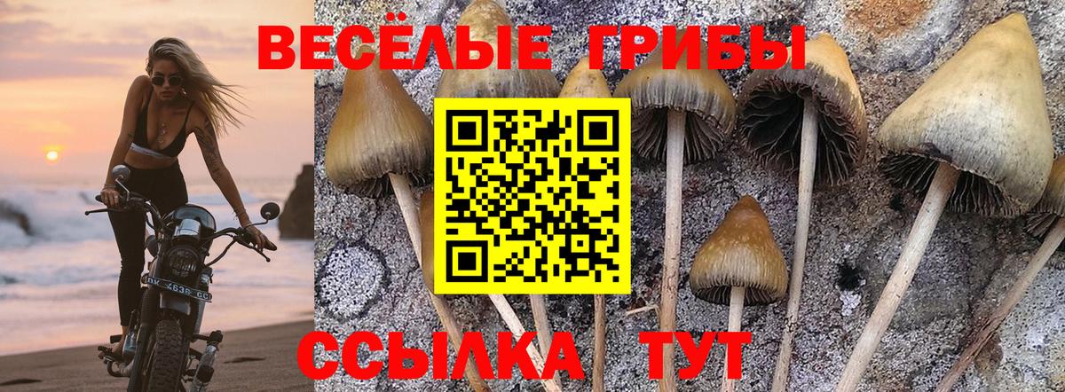 Черногорск  Псилоцибиновые грибы мухоморы  Вход с VPN  Галлюциногенные грибы ЛСД 