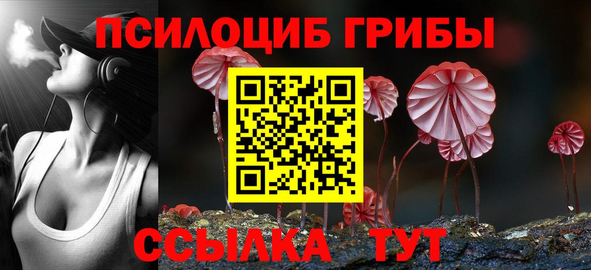Псилоцибиновые грибы GOLDEN TEACHER Черногорск