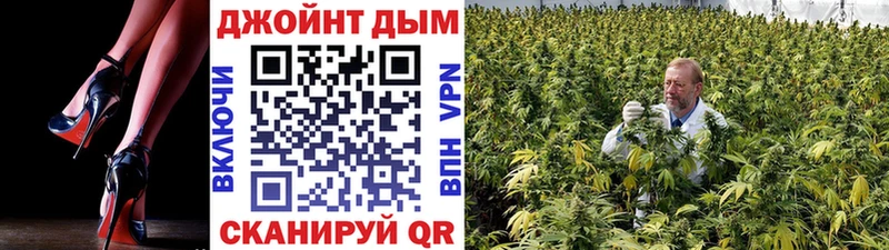 Канабис OG Kush  Черногорск 
